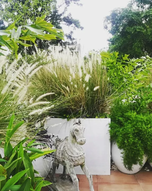 This view of the terrace garden for DWP Architects' founder shows how we layer plants of different heights and textures. The combination of tall grasses and dense shrubs creates a natural screen and adds a sense of privacy and seclusion.