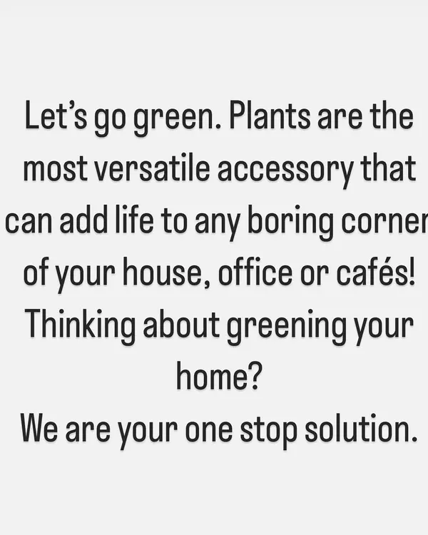 This is our core belief. Plants are the most versatile accessory for any space, and we are your one-stop solution for bringing more green into your life, whether at home, in the office, or at your cafe.