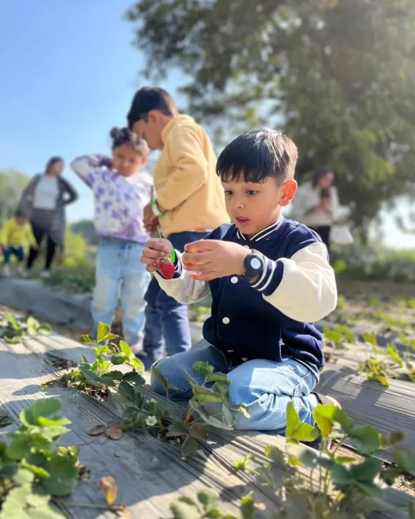 The pure joy of discovery. We believe connecting kids with nature is one of the greatest gifts, and moments like these, finding the perfect strawberry, are what our farm is all about.