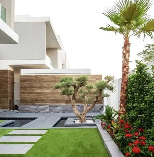 A modern landscape design for a contemporary home. We used a combination of clean lines, geometric water features, a feature olive tree, and a mix of lawn and hardscaping to create a sophisticated and tranquil front yard.