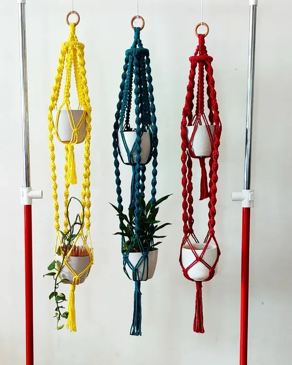 I love this new two-tiered plant hanger design. It's perfect for displaying a pair of smaller plants, and it comes in a variety of beautiful, bright colors like yellow, teal, and red.