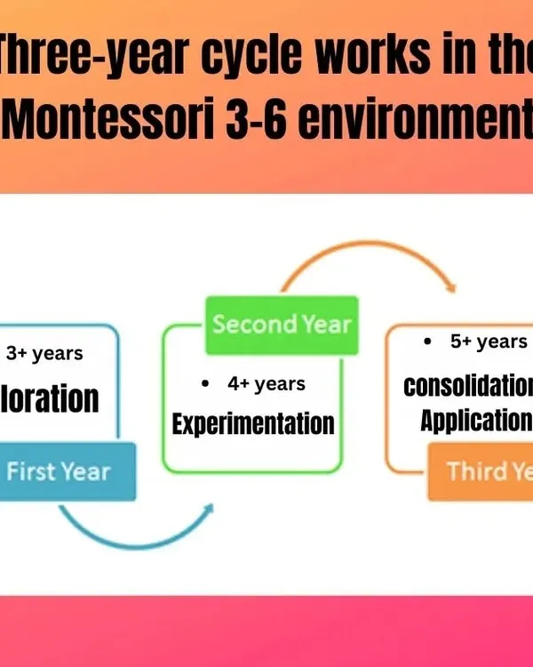 This diagram illustrates the three-year cycle in a Montessori environment. We group children in mixed-age classrooms (3-6 years) to foster mentorship and a community of learners, allowing each child to progress at their own pace through exploration, experimentation, and consolidation.