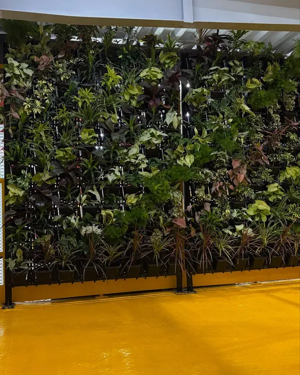 A frontal view of the living wall we installed at an Amazon facility. We carefully select a diverse mix of plants to create a rich texture and color palette, complete with integrated lighting to ensure the plants thrive.