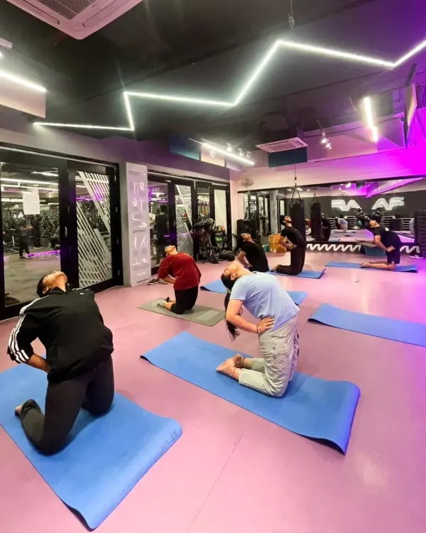 A group of members performs the Camel Pose (Ustrasana) during a yoga class. This image showcases the shared experience of stretching and opening up, guided by our instructor in the studio's ambient lighting.