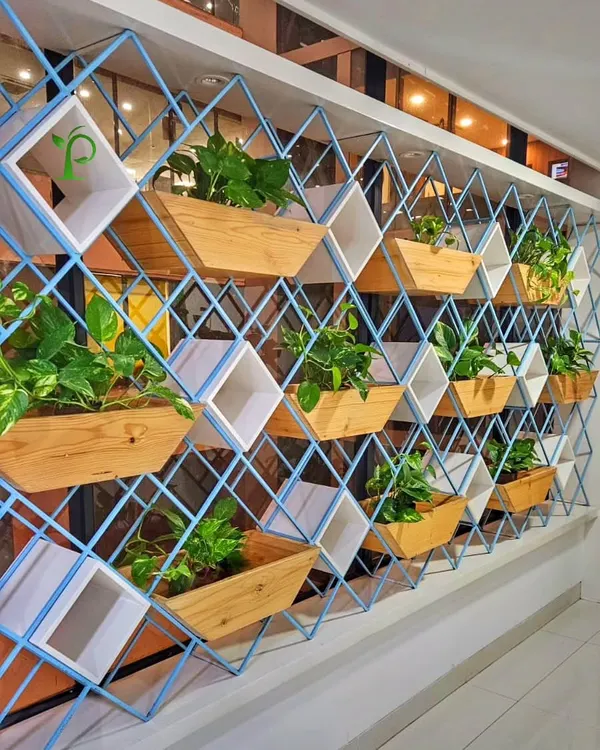 This custom vertical garden is a perfect example of how I can turn any wall into a living piece of art. This installation in a Mumbai office not only becomes a stunning focal point but also actively improves the office environment.