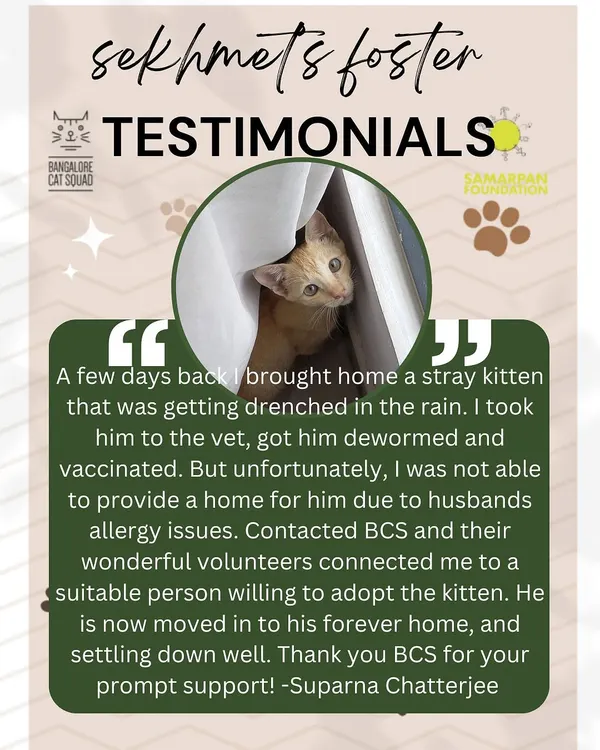 I love getting reviews from individual fosters like this one for Sekhmet. It’s a great feeling to know that our little ones are finding love in their new homes.