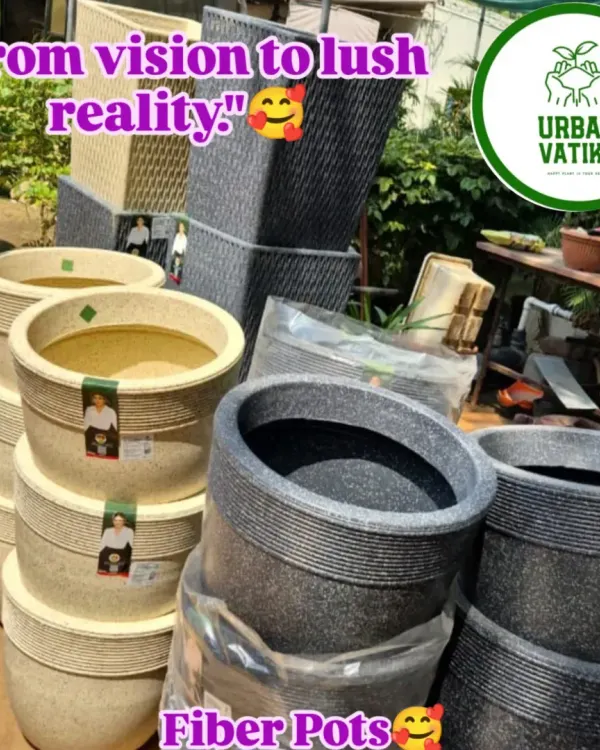 A collection of my fiber pots, which are strong, sleek, and weather-resistant. A great choice for any garden.