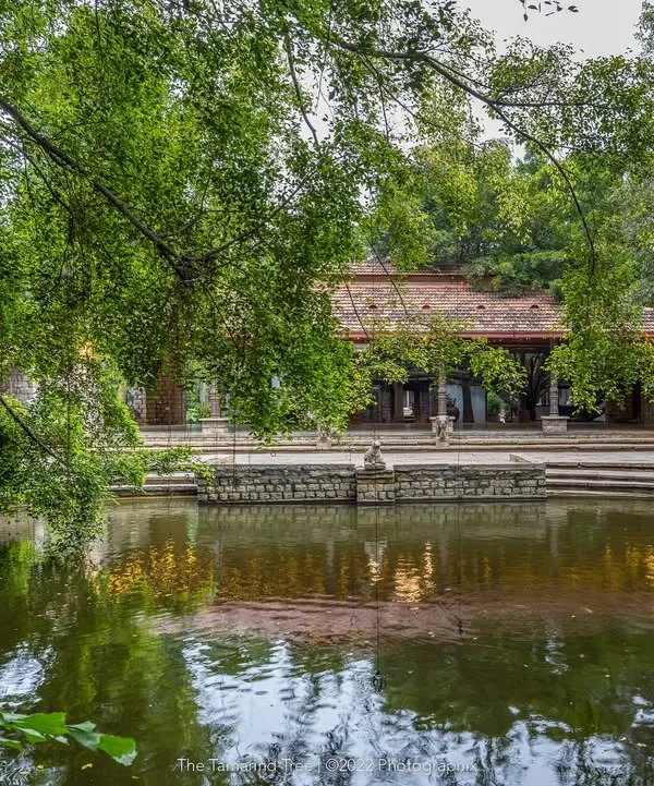 The Pond Pavilion and its perfect reflection in the tranquil Kalyani, surrounded by lush greenery. This space offers a serene, cinematic backdrop for any ceremony.