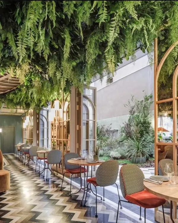 I can transform an entire space with ceiling decor. Here, I installed a dense canopy of artificial hanging ferns throughout a cafe to create a lush, garden-like atmosphere without blocking floor space. This type of overhead installation makes any commercial venue feel more upscale and inviting.