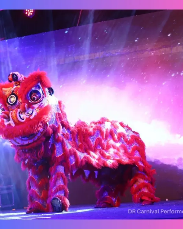 Our magnificent red Chinese Lion stands ready to perform. This act is a symbol of power, wisdom, and good fortune, making it a meaningful and spectacular addition to any important celebration.
