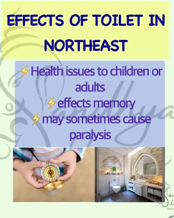 A toilet in the North-East is a severe Vastu dosha that can cause major health issues. This is the zone of clarity and divinity, and a toilet here pollutes the energy of the entire house. I strongly advise against generic remedies for this; it often requires a more serious correction.