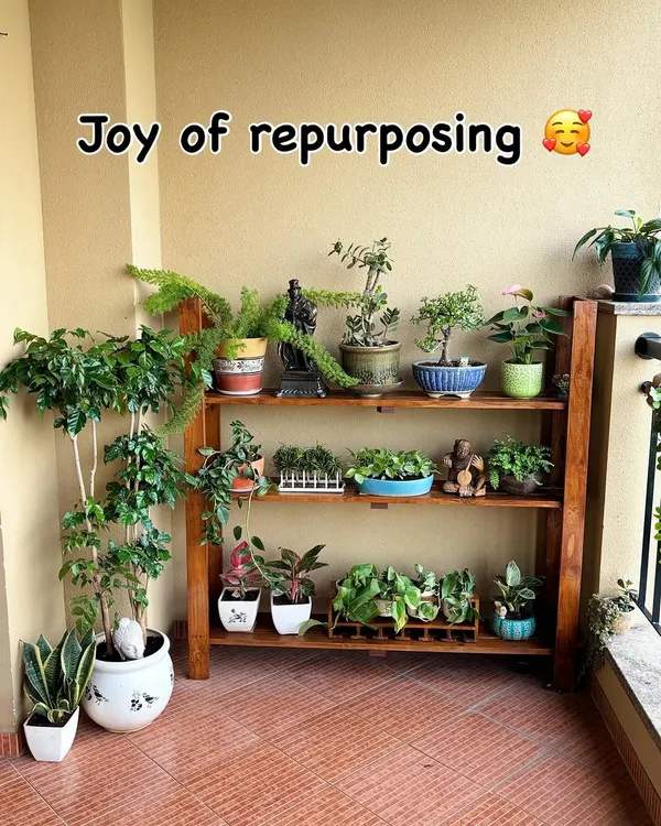 This is what I love to do. We transformed this balcony by repurposing an old teak wood sofa into a beautiful, multi-level plant stand. It’s now an organized and lush home for a lovely bonsai collection and other green friends.