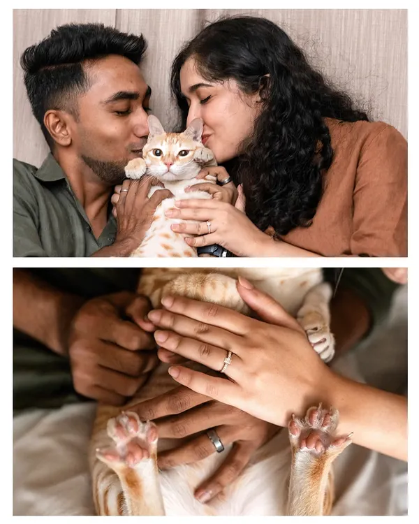 A collage from a viral engagement shoot starring Toffee, the orange tabby cat. From kisses with his humans to a close-up of his paws on their hands, this session perfectly captured his central role in their love story.