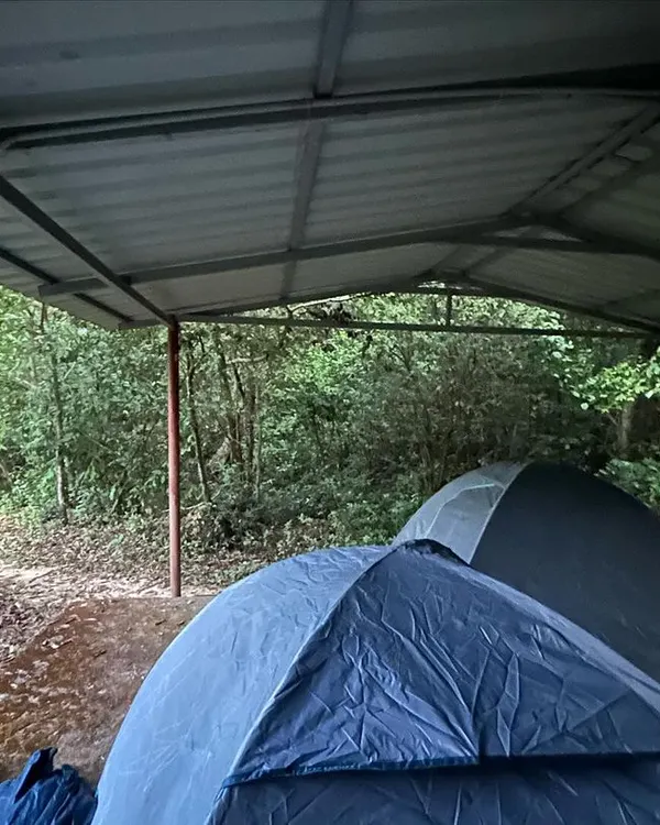 Our sheltered tent setup in the heart of the Agumbe rainforest. This is jungle camping done right, keeping you dry and comfortable.