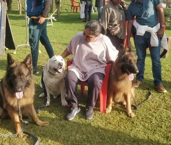 Our trainers and dogs on the set of the Bollywood movie 'Sam Bahadur'. Director Meghna Gulzar is seen here with our German Shepherds, Leo and Bairavaa, and our American Pitbull, Rocky.
