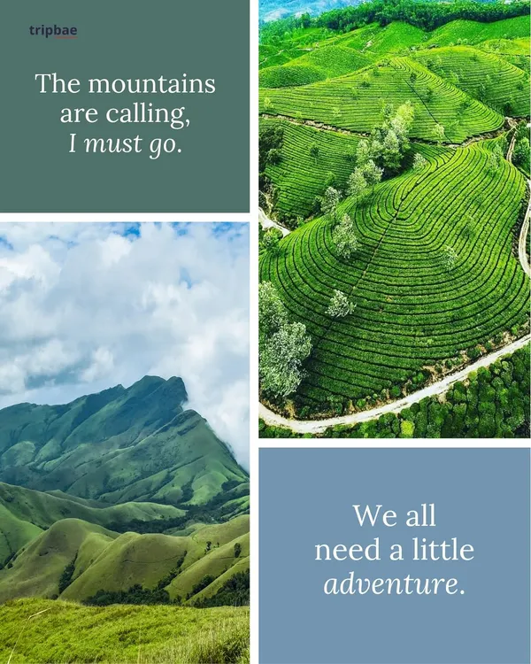 The mountains are calling, and we must go. This collage captures the essence of adventure that we offer, from lush green hills to winding tea plantations.