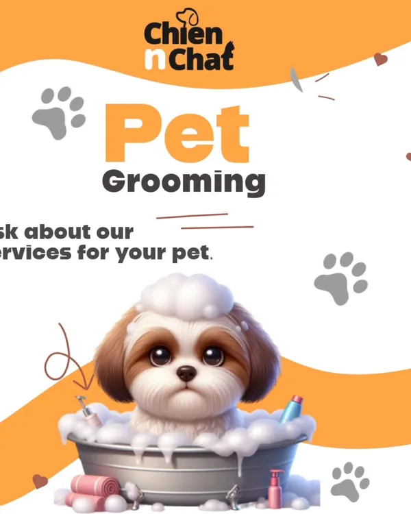 We offer a full range of pet grooming services. Ask us what's best for your pet to keep them clean, healthy, and happy.