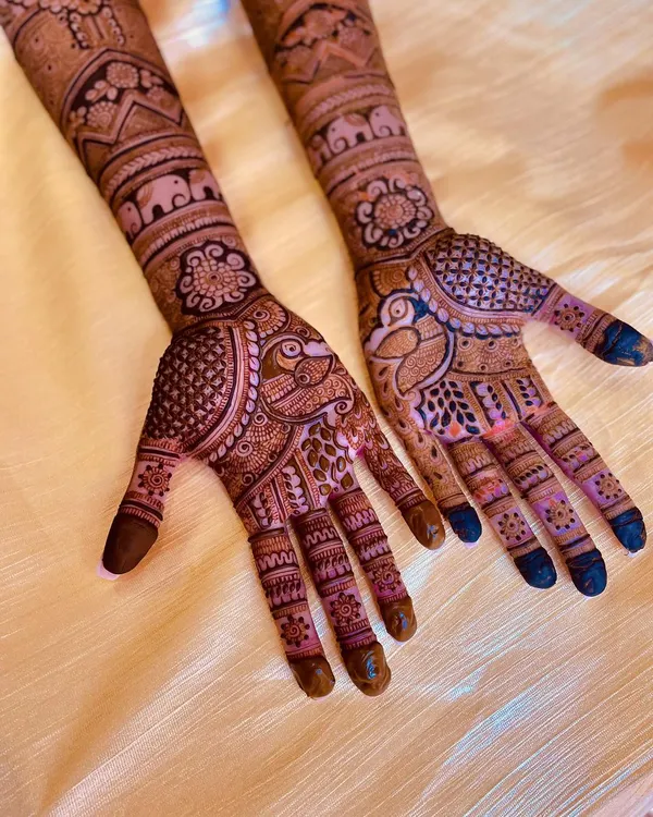 This design is filled with beloved traditional motifs, including majestic elephants and graceful peacocks, woven into a dense, celebratory pattern perfect for a bride.