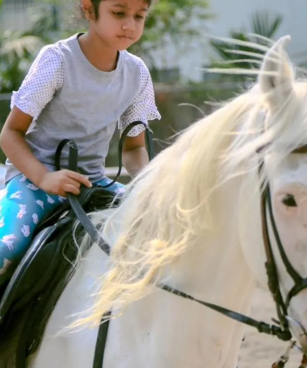 This is what it's all about. A young rider, full of confidence, enjoying a moment with her beautiful white horse. We make sure every child feels safe and has an unforgettable experience.