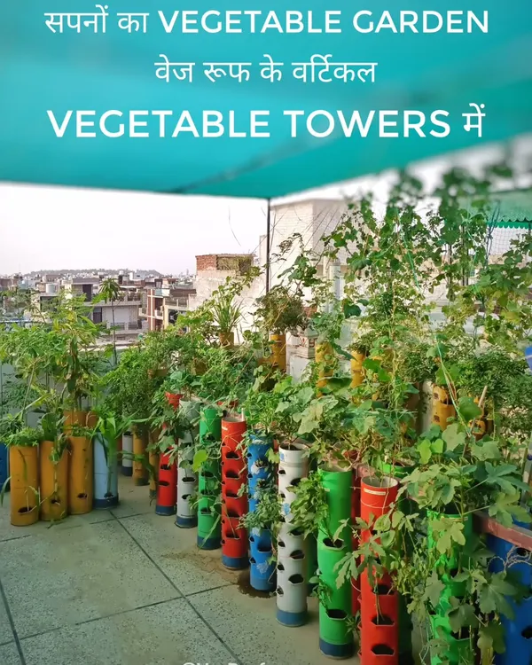 This is the dream I help you build. A beautiful, productive vegetable garden on your own terrace, using my custom vertical towers to save space and grow more.