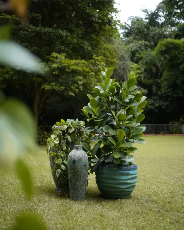 Meet the Atlantic Glaze Rustic Pot, an artisanal masterpiece. Its textured finish in tranquil blues and earthy taupes makes each pot a one-of-a-kind keepsake, perfect for bringing rustic elegance to your home.