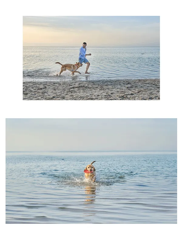 A collage from a stunning beach shoot in Dubai. Astro the Labrador had the time of his life running along the shore and splashing in the waves with his dad.