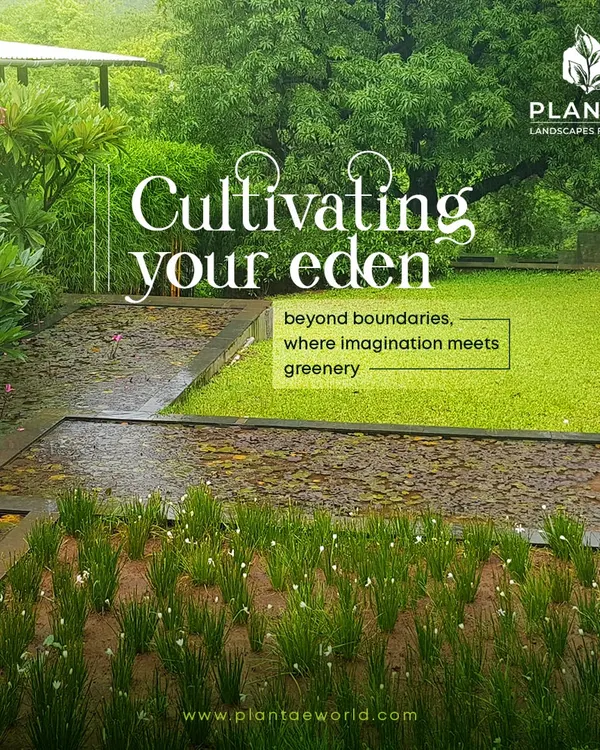 This expansive garden is part of a larger residential project where we aimed to create a private Eden. The design incorporates natural stone paths, rolling lawns, and layered planting to build a serene and immersive landscape.