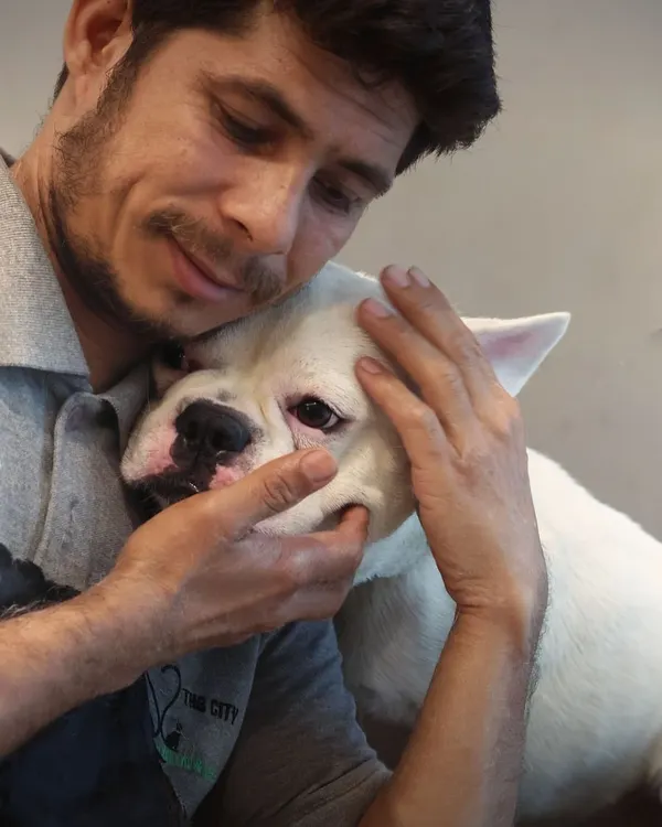 This is what it's all about for us. The trust and affection we share with your pets is the most rewarding part of our job. We believe grooming should be a loving experience, not a stressful one.
