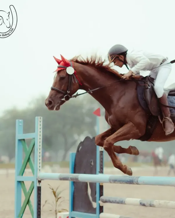 This is the thrill we chase. A rider and horse in perfect sync, clearing an obstacle with power and grace. This is what dedication and training can lead to in our show jumping program.