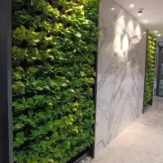 A live green wall installed in a corporate office corridor in BKC, Mumbai. The wall is positioned next to a marble-finish panel, creating a striking contrast between natural and man-made textures.