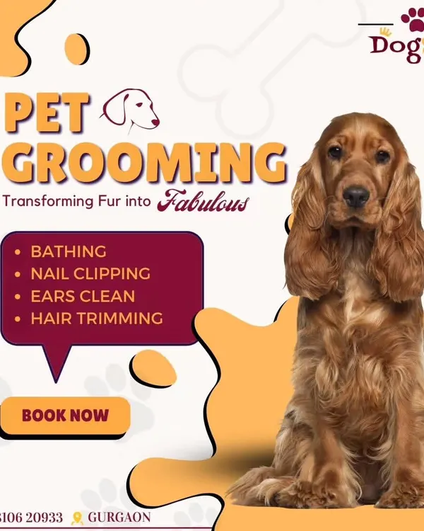 I transform fur into fabulous. My pet grooming services include bathing, nail clipping, ear cleaning, and hair trimming. Book now to give your pet the care they deserve.