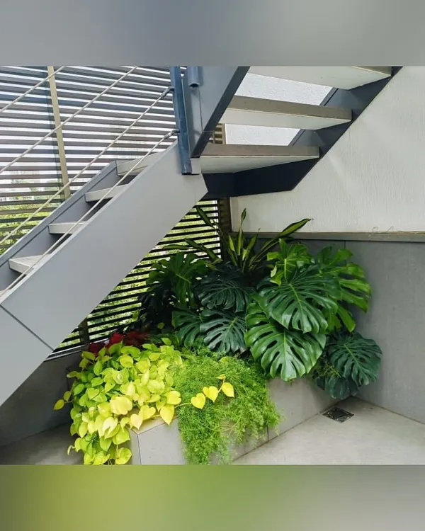 We find opportunities for greenery in unexpected places. This planter, tucked under a modern staircase, brings life and vibrant color to the interior, featuring a mix of Monstera, money plants, and ferns.