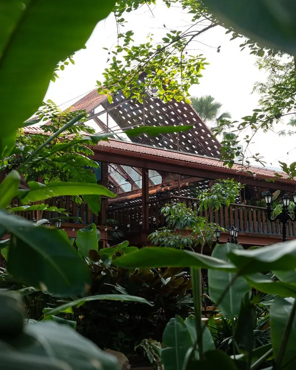 Peeking through the lush foliage, this view of the Toit brewery reveals a structure that embraces nature. The design uses wood and a latticed roof to create a space that feels open and connected to the outdoors.