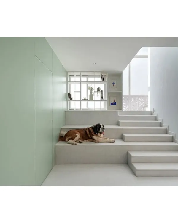 A minimalist interior from the 'House Above the Tree' project, featuring a wide, inhabitable staircase and clean, simple lines. The design prioritizes a sense of calm and spaciousness.
