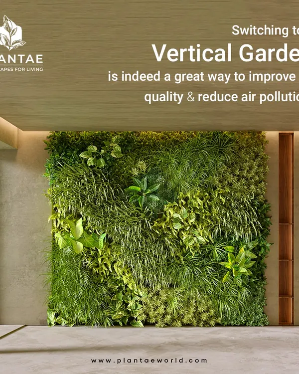 This large, circular vertical garden is a perfect example of a living art installation. It serves as the centerpiece of this modern living room, showcasing a diverse mix of ferns and foliage to create a rich, textured green wall.