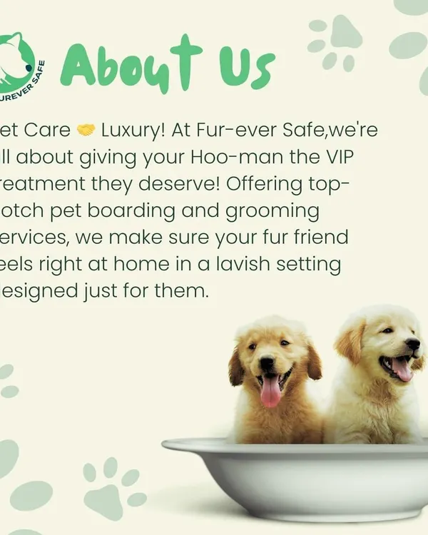 This is what we're all about. At Furever Safe, we believe in giving your best friend the VIP treatment they deserve with top-notch grooming services.