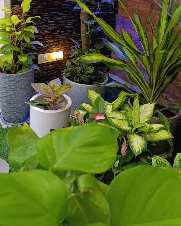 This cozy corner is a great example of how I mix elements to create a complete look. I used high-quality artificial turf for a maintenance-free base, added natural stone pavers for texture, and selected a variety of indoor and outdoor plants in modern grey and white pots. The subtle wall lighting brings it all to life in the evening, creating a perfect personal retreat.