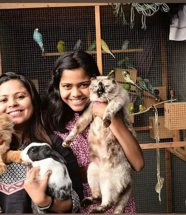 This is my happy place, surrounded by all my kunjus (little ones). I started this journey 8 years ago, and my heart is full of gratitude for every cat, bird, and bunny that has become a part of my family.