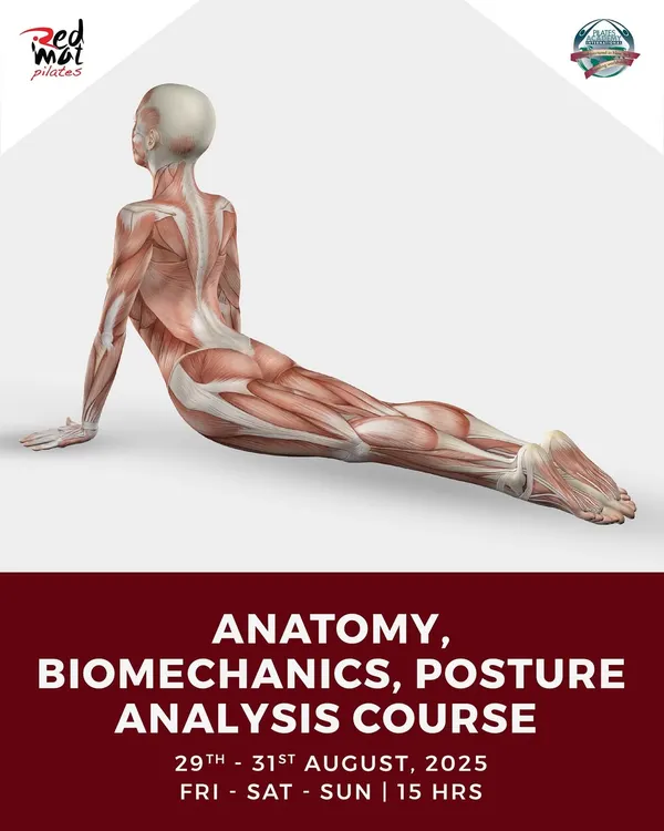 Understanding the body's muscular and skeletal systems is non-negotiable for a great instructor. This graphic for my Anatomy, Biomechanics, and Posture Analysis course highlights the deep knowledge you will gain.