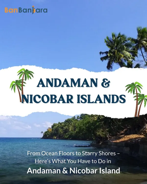 Welcome to the wild side of paradise, the Andaman & Nicobar Islands. This is your sign to book that island escape you've been dreaming of.