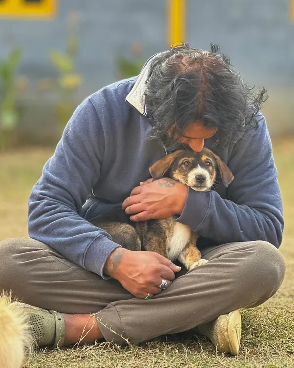 This is the core of my work. A quiet moment of trust and comfort with a young pup. It's not about commands or control, but about creating a space where an animal feels safe enough to just be. This is the foundation of all communication.