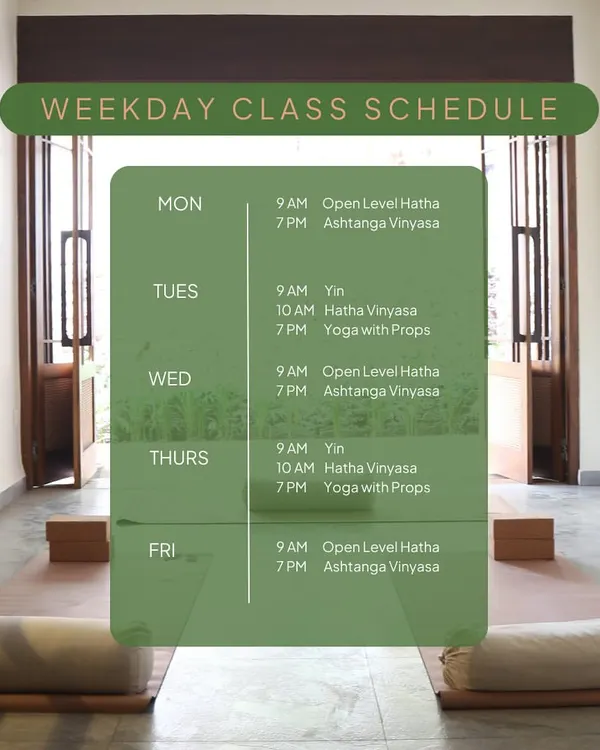 Our weekday class schedule, showing a variety of morning and evening options. We offer Open Level Hatha, Yin, Ashtanga Vinyasa, and Yoga with Props to fit your needs throughout the week.