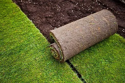 Getting a perfect lawn is easy with my carpet grass service. This image shows a roll of fresh, healthy turf grass ready to be laid, providing an instant green solution for your garden.