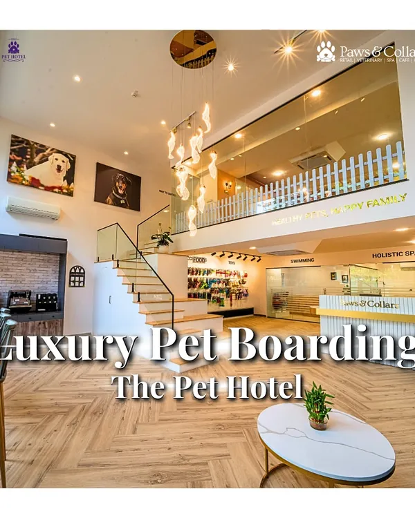 An overview of our luxury pet boarding facility, where modern design meets unparalleled comfort for your furry family members.