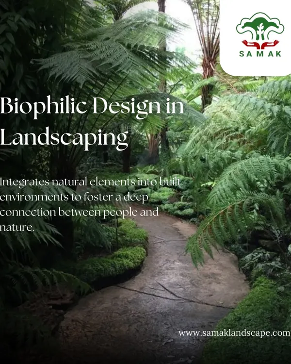 This image explains our commitment to Biophilic Design, an approach that integrates natural elements and patterns into the built environment. We design spaces like this forest pathway to improve well-being by fostering a deep, innate connection to nature.