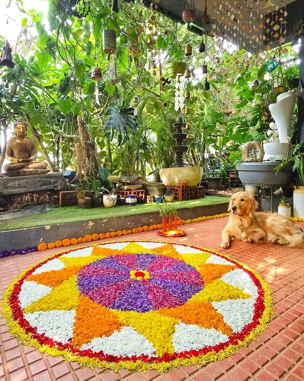 A beautiful Onam Pookalam (flower rangoli) on our patio, with our golden retriever Leo guarding it. The flowers are all from our garden.