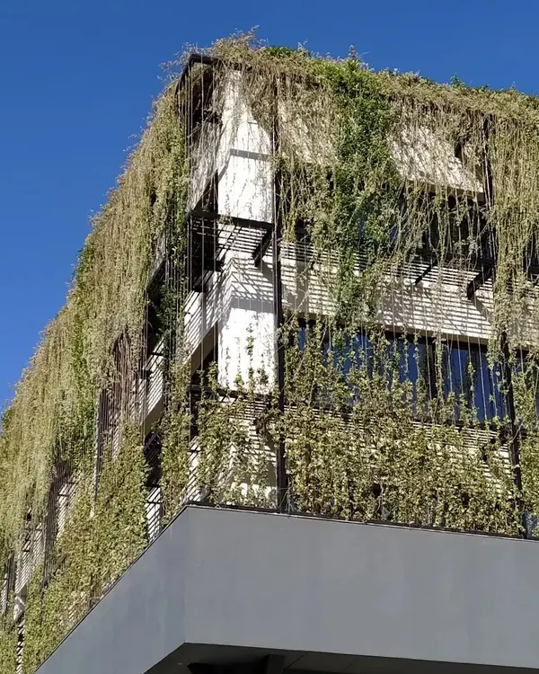 A close-up of the Tech 37 office facade, where a metal trellis system supports a cascade of greenery. This living skin provides natural shading and creates a unique identity for the building.