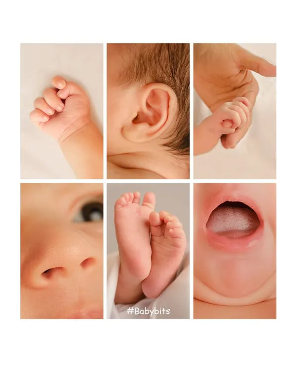 We believe the little things are the big things. This collage showcases our focus on capturing those fleeting details: tiny fingers, perfect ears, and button noses that you'll want to remember forever.