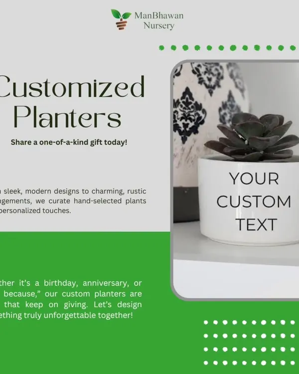 Make your gift unforgettable by adding a personal touch. I can print your company logo, a special date, or a motivational message directly onto our high-quality ceramic planters, creating a lasting impression for clients and employees.