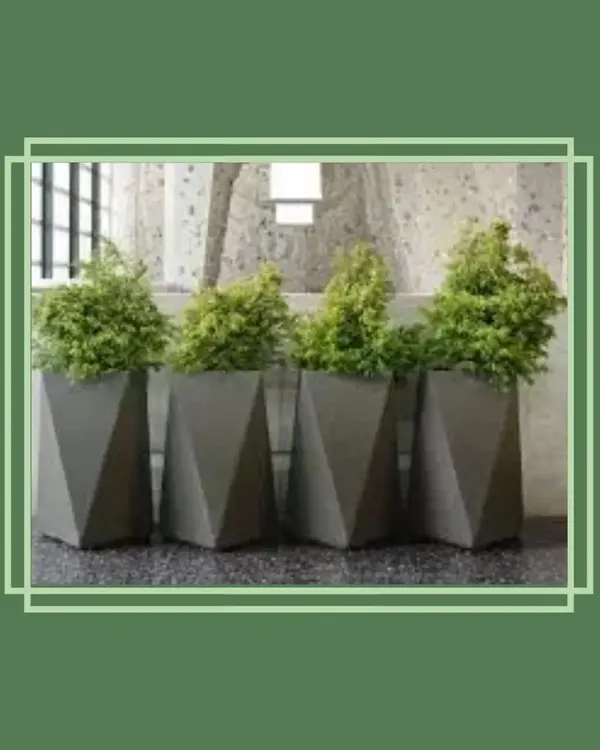 These geometric planters add a sharp, contemporary edge to any space. Their faceted design catches the light in interesting ways, making them a sculptural element even before you add plants. They are made from a durable, lightweight composite material.